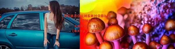 прущая мука Нефтегорск