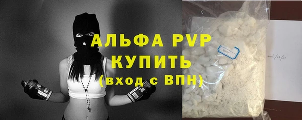 спиды Нефтекумск