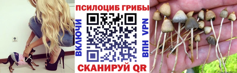 Галлюциногенные грибы ЛСД  Купить закладки  Тимашёвск 